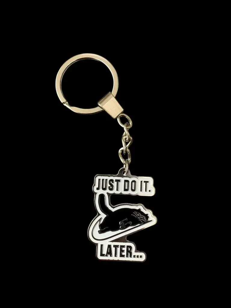 Schlüsselanhänger „Katze – Just do it later“